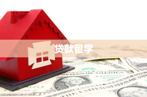 赫山贷款留学