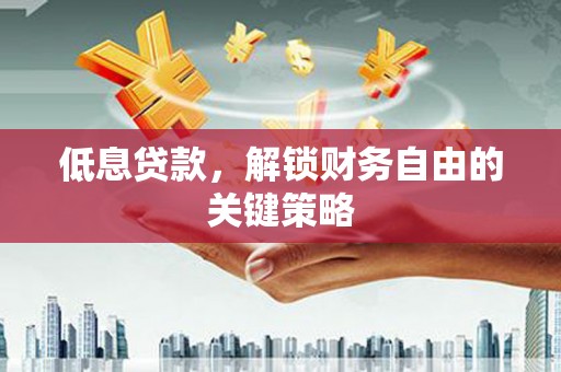 赫山低息贷款，解锁财务自由的关键策略