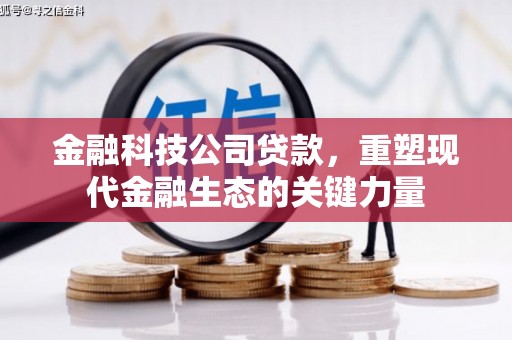 赫山金融科技公司贷款，重塑现代金融生态的关键力量