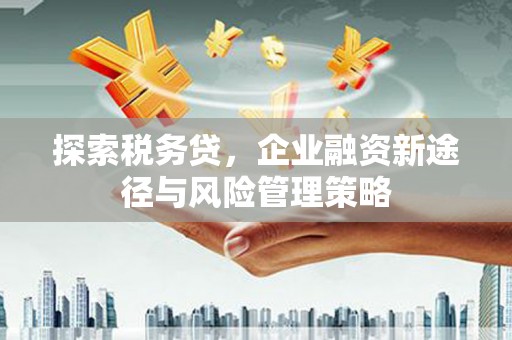 赫山探索税务贷，企业融资新途径与风险管理策略