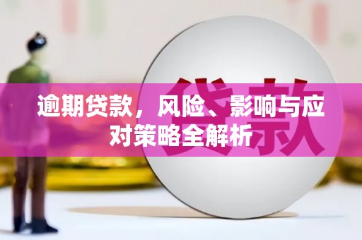 赫山逾期贷款，风险、影响与应对策略全解析