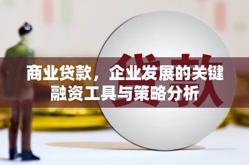 赫山商业贷款，企业发展的关键融资工具与策略分析