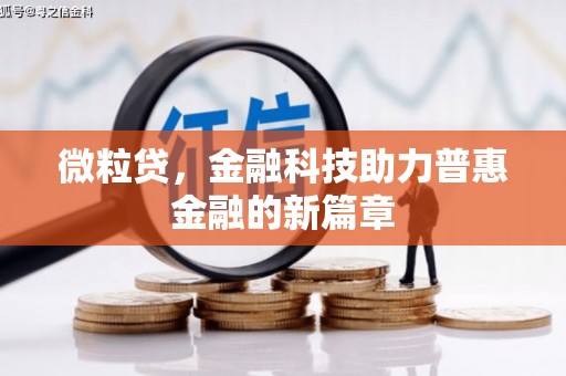 赫山微粒贷，金融科技助力普惠金融的新篇章