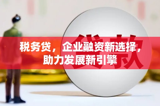 赫山税务贷，企业融资新选择，助力发展新引擎