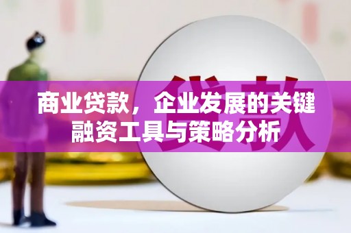 赫山商业贷款，企业发展的关键融资工具与策略分析