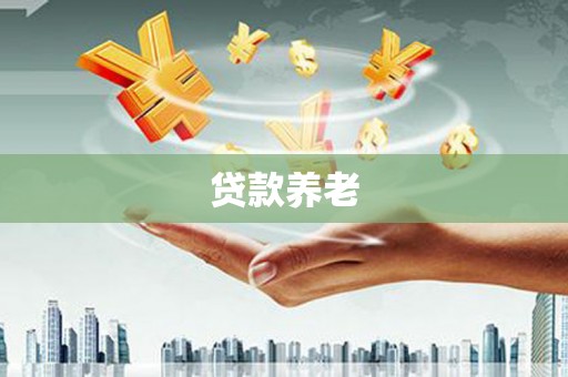 赫山贷款养老