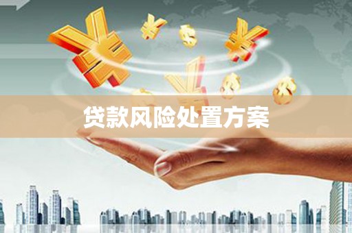 赫山贷款风险处置方案