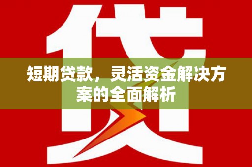 赫山短期贷款，灵活资金解决方案的全面解析