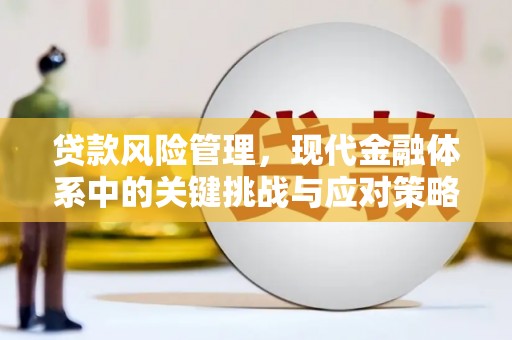 赫山贷款风险管理，现代金融体系中的关键挑战与应对策略