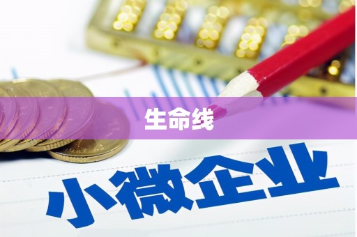 赫山生命线