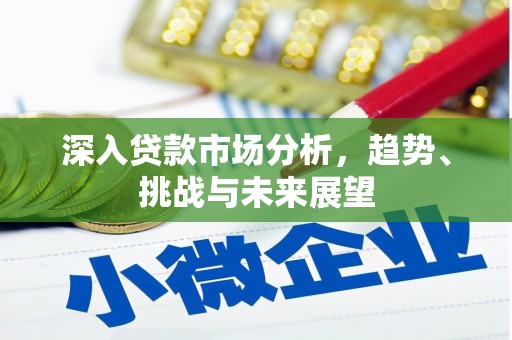 赫山深入贷款市场分析，趋势、挑战与未来展望