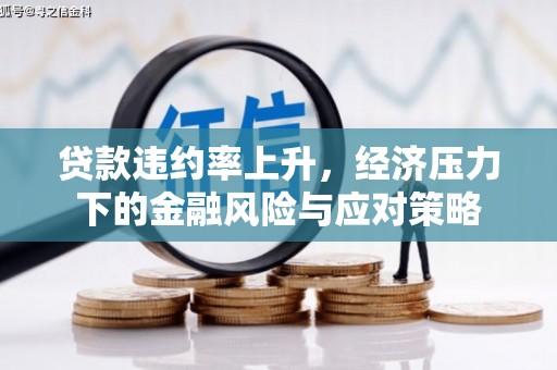 赫山贷款违约率上升，经济压力下的金融风险与应对策略