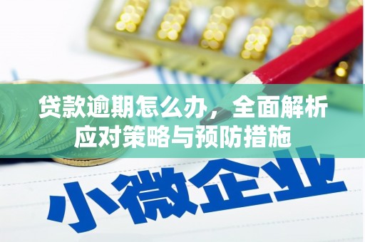 赫山贷款逾期怎么办，全面解析应对策略与预防措施