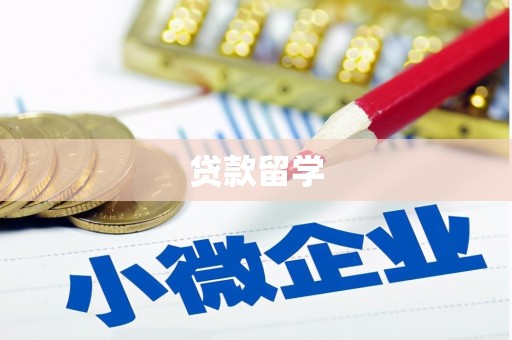 赫山贷款留学