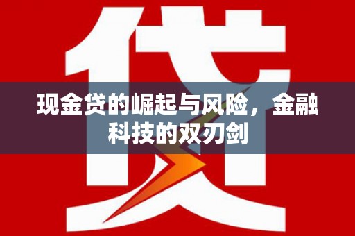 赫山现金贷的崛起与风险，金融科技的双刃剑