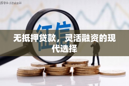 赫山无抵押贷款，灵活融资的现代选择
