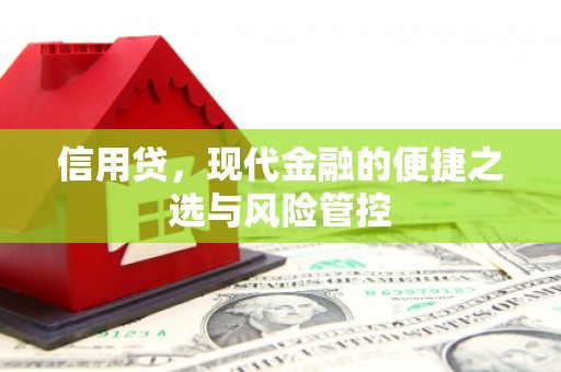赫山信用贷，现代金融的便捷之选与风险管控
