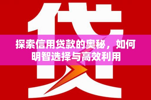 赫山探索信用贷款的奥秘，如何明智选择与高效利用