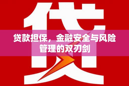 赫山贷款担保，金融安全与风险管理的双刃剑