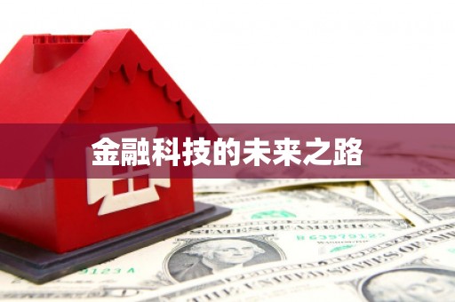 赫山金融科技的未来之路