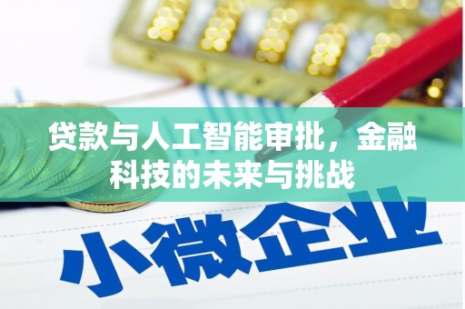 赫山贷款与人工智能审批，金融科技的未来与挑战
