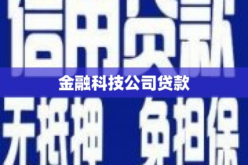 赫山金融科技公司贷款
