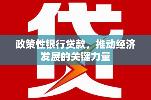 赫山政策性银行贷款，推动经济发展的关键力量