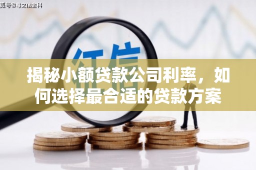 赫山揭秘小额贷款公司利率，如何选择最合适的贷款方案