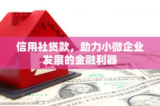 赫山信用社贷款，助力小微企业发展的金融利器