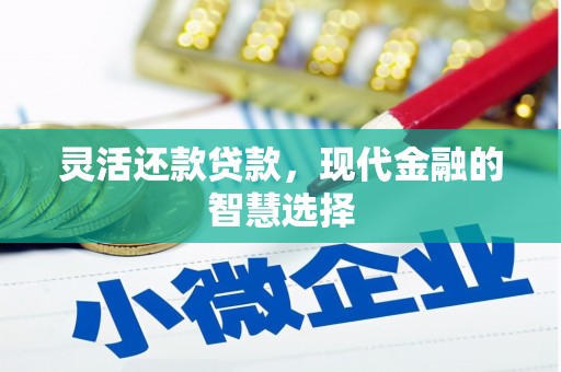赫山灵活还款贷款，现代金融的智慧选择