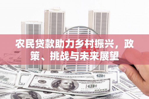 赫山农民贷款助力乡村振兴，政策、挑战与未来展望