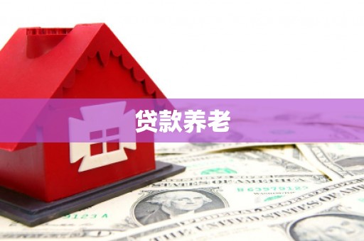 赫山贷款养老