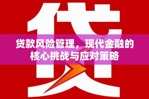 赫山贷款风险管理，现代金融的核心挑战与应对策略