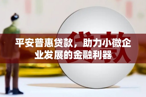 赫山平安普惠贷款，助力小微企业发展的金融利器