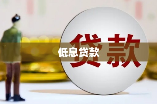 赫山低息贷款