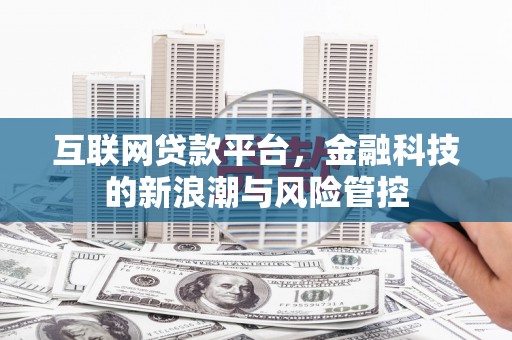 赫山互联网贷款平台，金融科技的新浪潮与风险管控