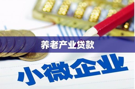 赫山养老产业贷款