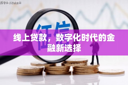 赫山线上贷款，数字化时代的金融新选择