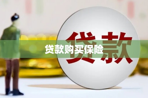 赫山贷款购买保险