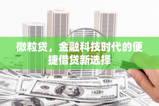 赫山微粒贷，金融科技时代的便捷借贷新选择