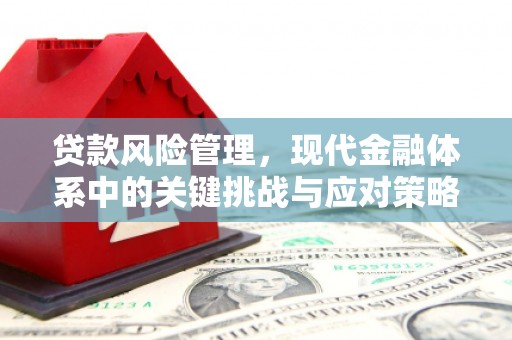赫山贷款风险管理，现代金融体系中的关键挑战与应对策略