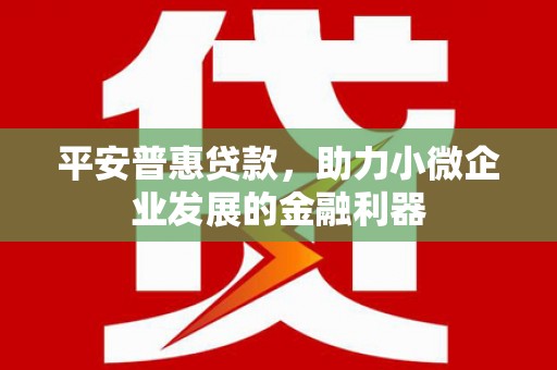 赫山平安普惠贷款，助力小微企业发展的金融利器