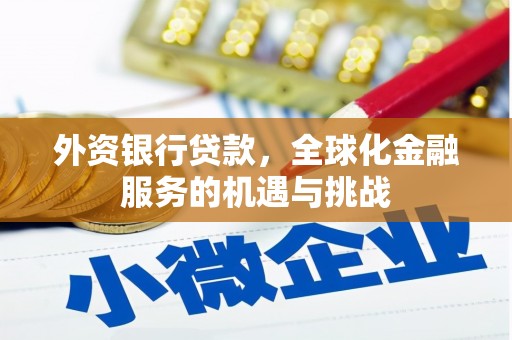 赫山外资银行贷款，全球化金融服务的机遇与挑战