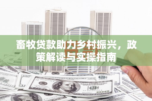赫山畜牧贷款助力乡村振兴，政策解读与实操指南
