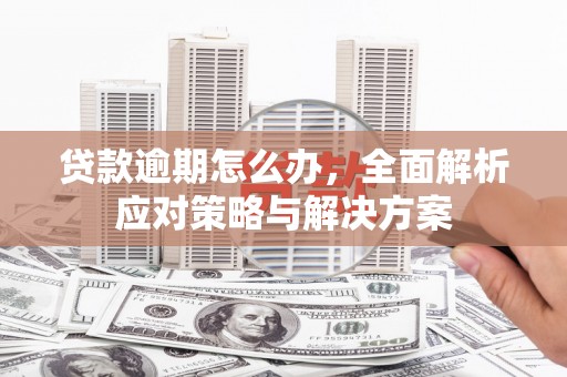 赫山贷款逾期怎么办，全面解析应对策略与解决方案