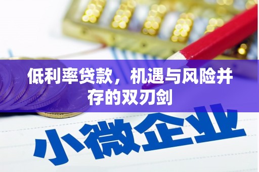 赫山低利率贷款，机遇与风险并存的双刃剑