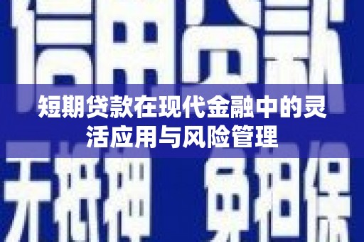 赫山短期贷款在现代金融中的灵活应用与风险管理