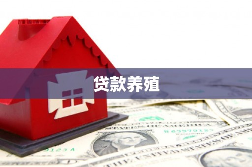 赫山贷款养殖