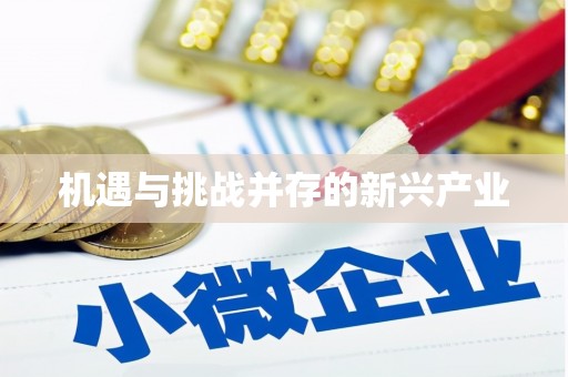 赫山机遇与挑战并存的新兴产业