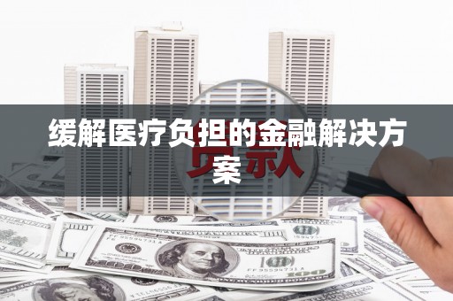 赫山缓解医疗负担的金融解决方案